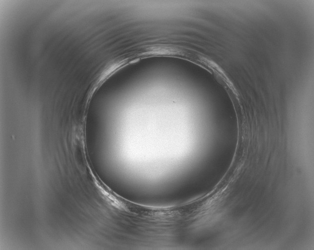 X0000059831433200510211201