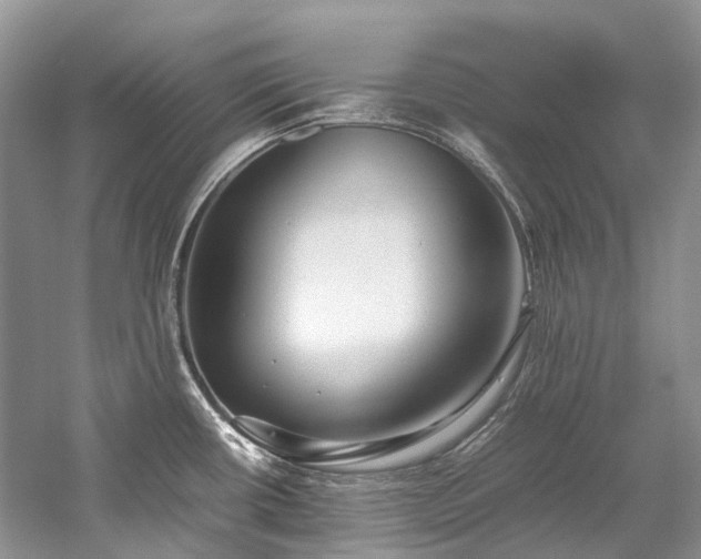 X0000059831434200510211201