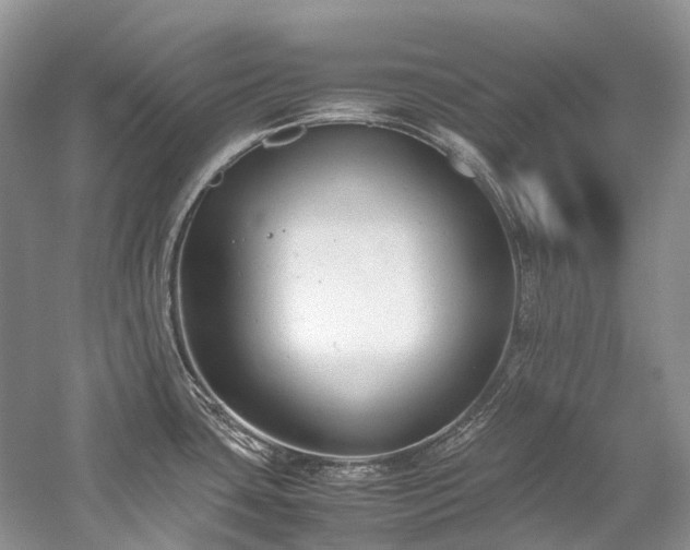 X0000059831435200510211201