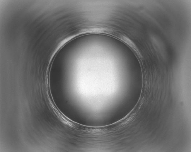 X0000059831436200510211201