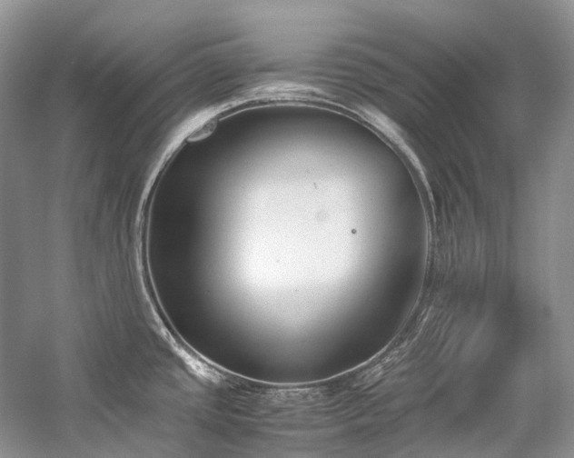 X0000059831437200510211201