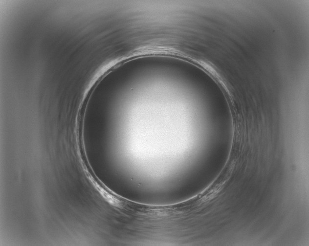 X0000059831438200510211201