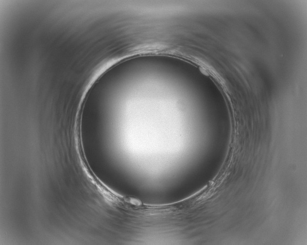 X0000059831440200510211201