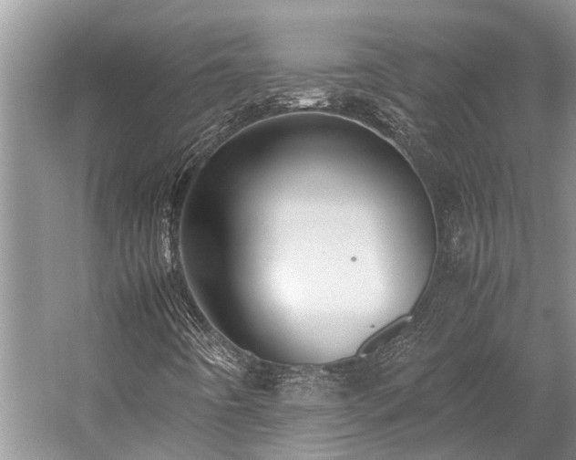 X0000059831442200510211200