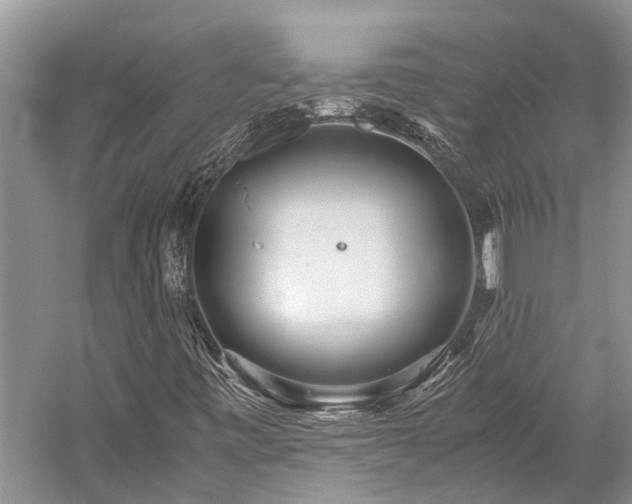 X0000059831443200510211200