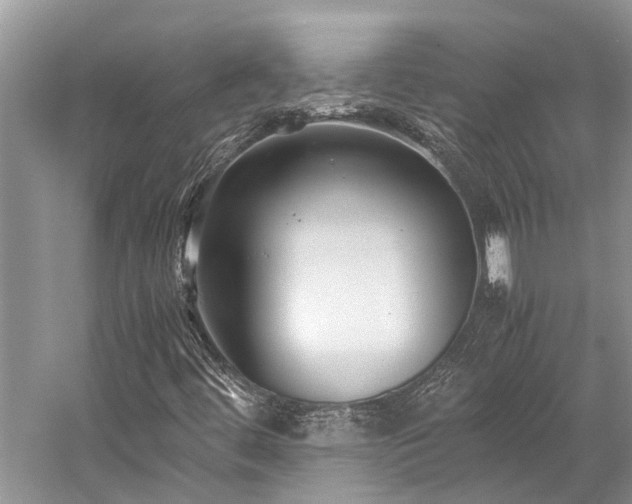 X0000059831444200510211200