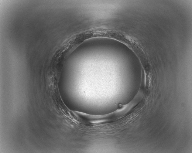 X0000059831445200510211200