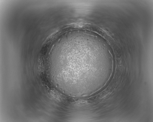 X0000059831446200510211200