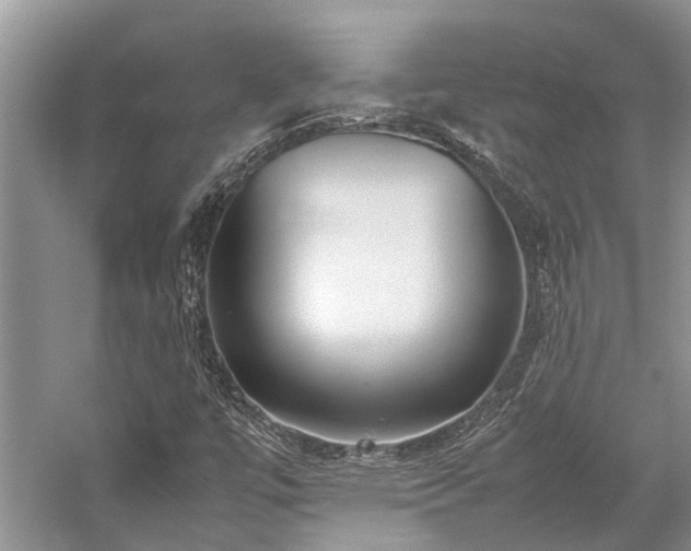 X0000059831447200510211200