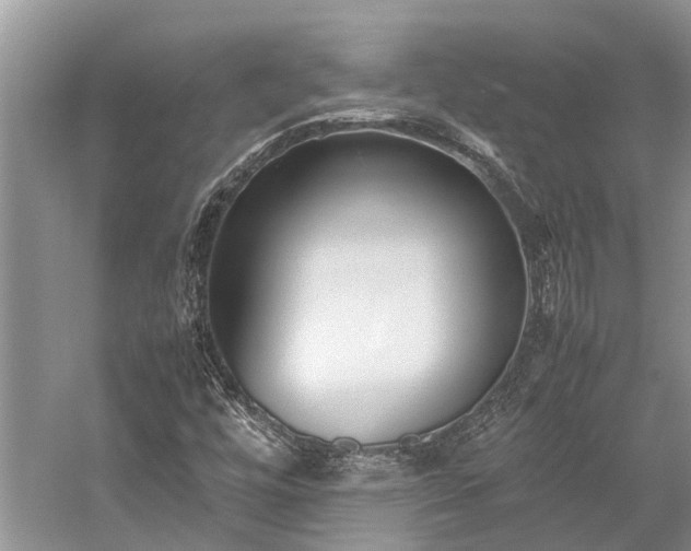 X0000059831448200510211200