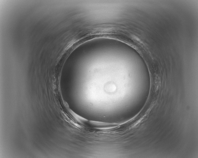 X0000059831449200510211200