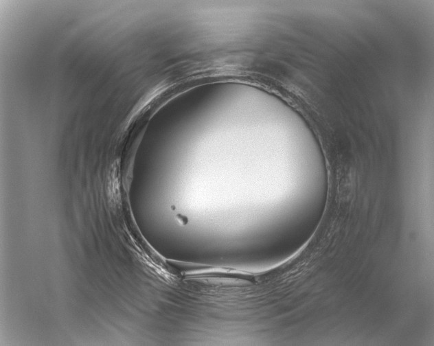 X0000059831450200510211200