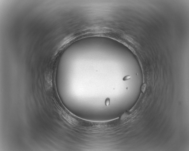 X0000059831451200510211200