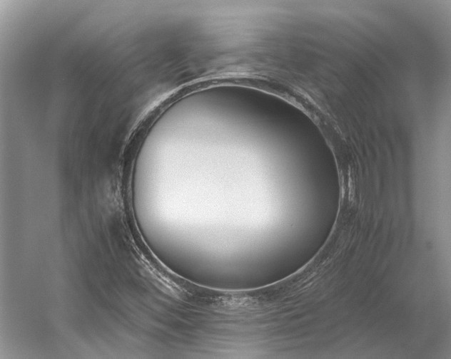 X0000059831452200510211200