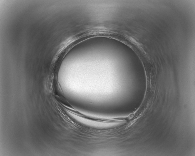 X0000059831453200510211200