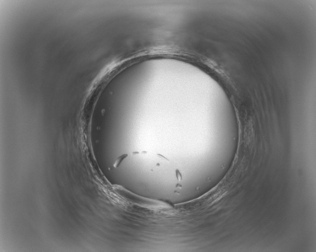 X0000059831454200510211200