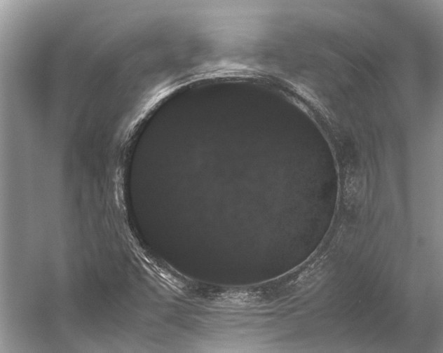 X0000059831455200510211200