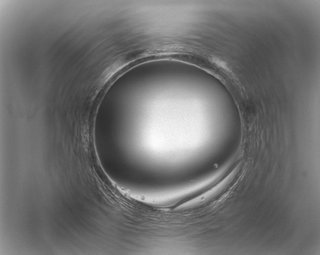 X0000059831457200510211200