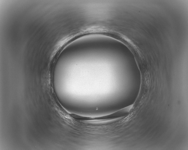 X0000059831461200510211200