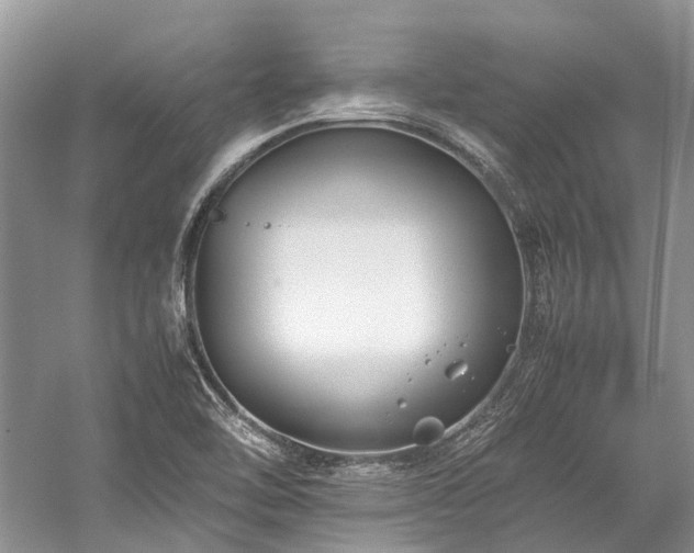 X0000059831462200510211200