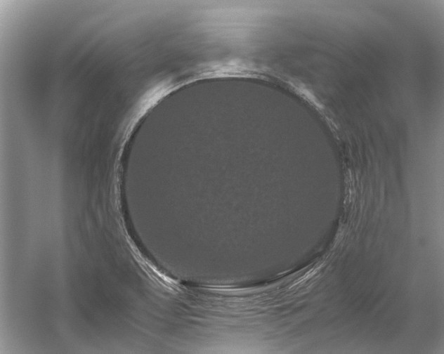 X0000059831463200510211200