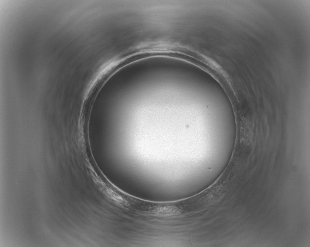 X0000059831464200510211200