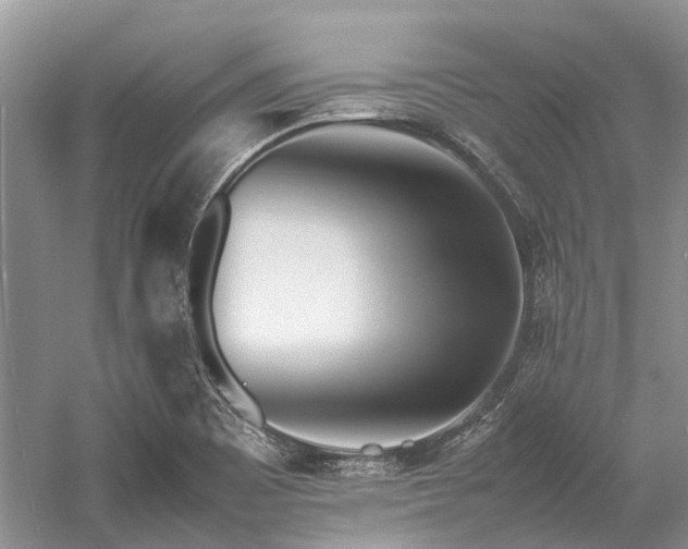 X0000059831465200510211200