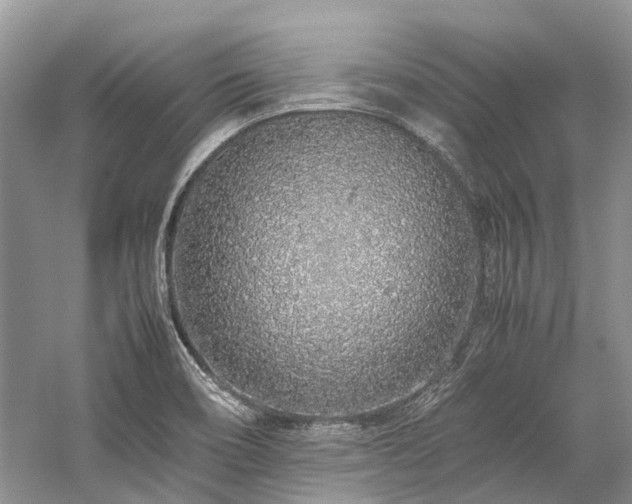 X0000059831466200510211200