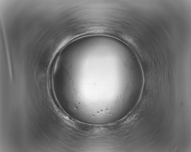 X0000059831467200510211200