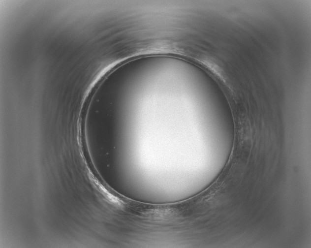 X0000059831468200510211200