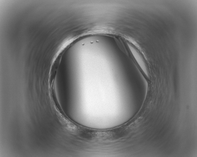 X0000059831469200510211200