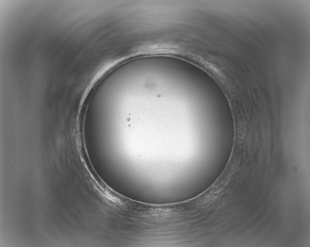 X0000059831470200510211200