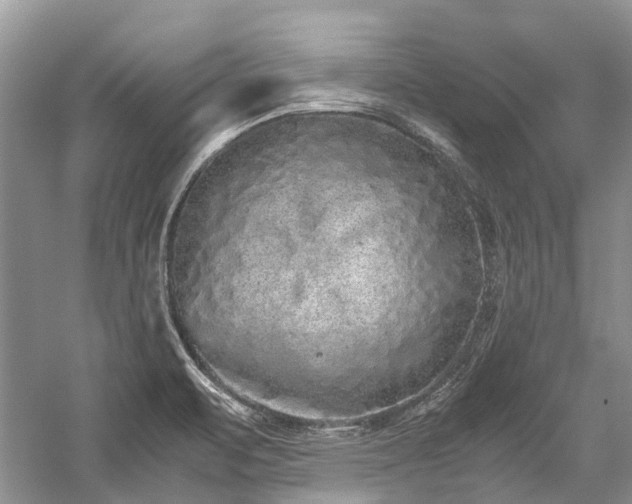 X0000059831471200510211200