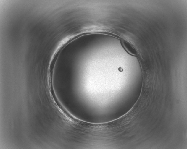 X0000059831472200510211200