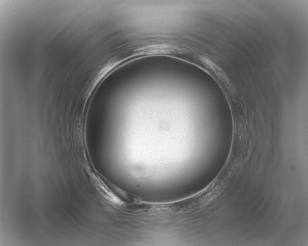 X0000059831473200510211200