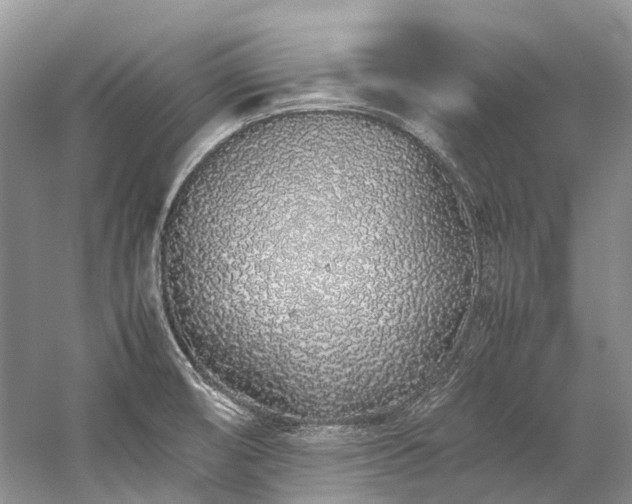 X0000059831474200510211200