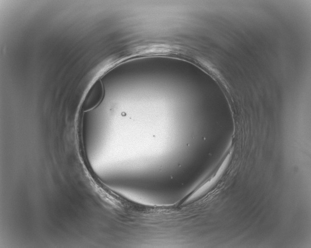 X0000059831475200510211200