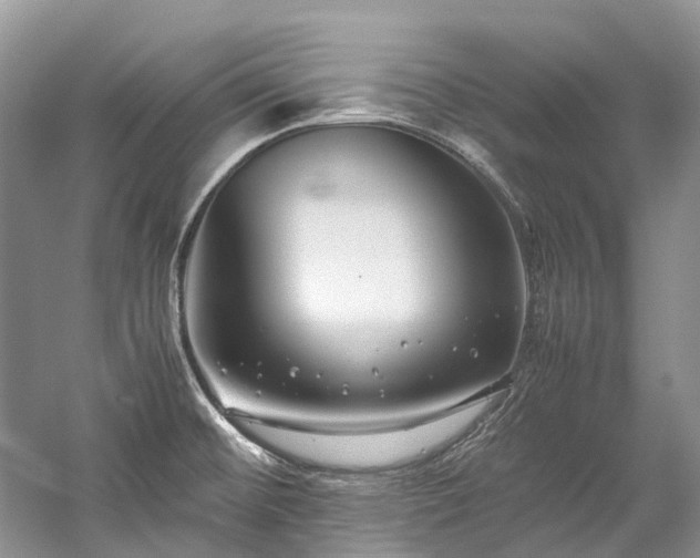 X0000059831476200510211200