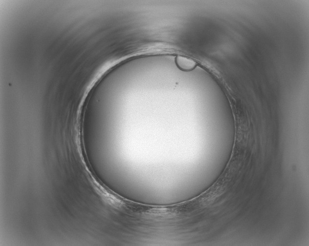 X0000059831478200510211200