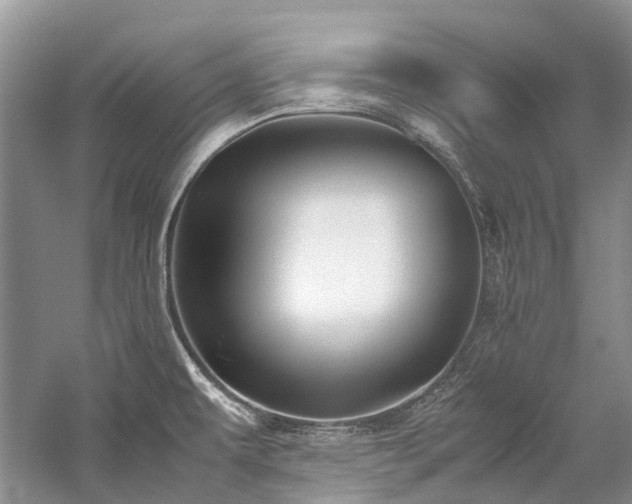 X0000059831479200510211200