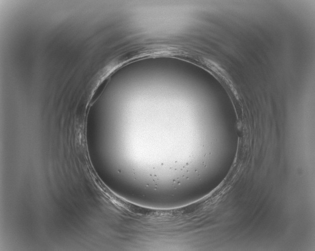 X0000059831481200510211200