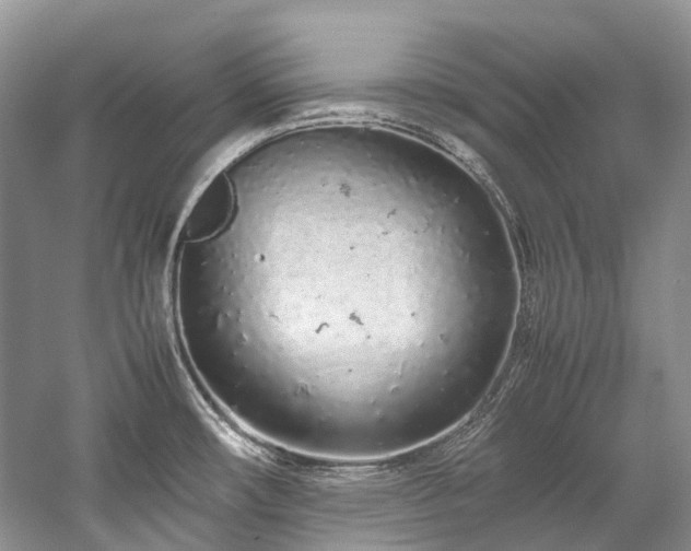 X0000059831482200510211200