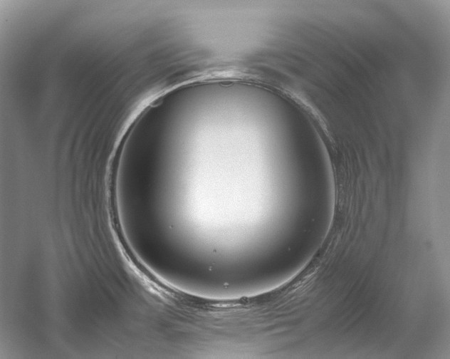 X0000059831483200510211200