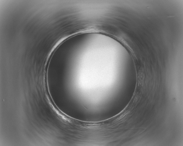 X0000059831484200510211200