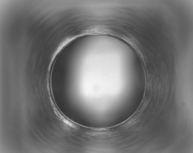 X0000059831486200510211200