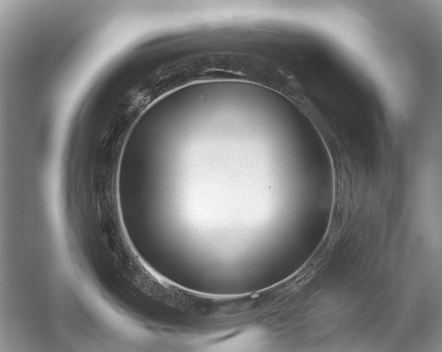 X0000059831487200510211200