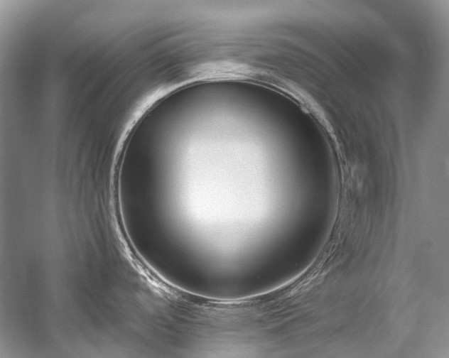 X0000059831488200510211200