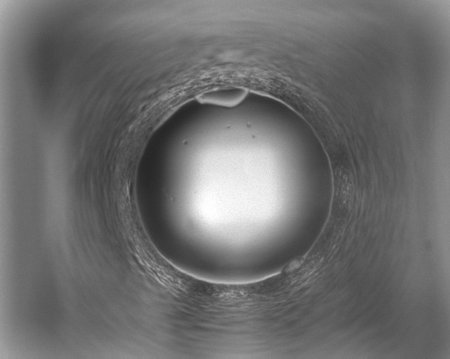 X0000059831489200510211159