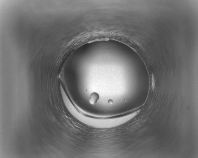 X0000059831492200510211159