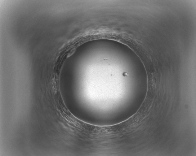 X0000059831493200510211159